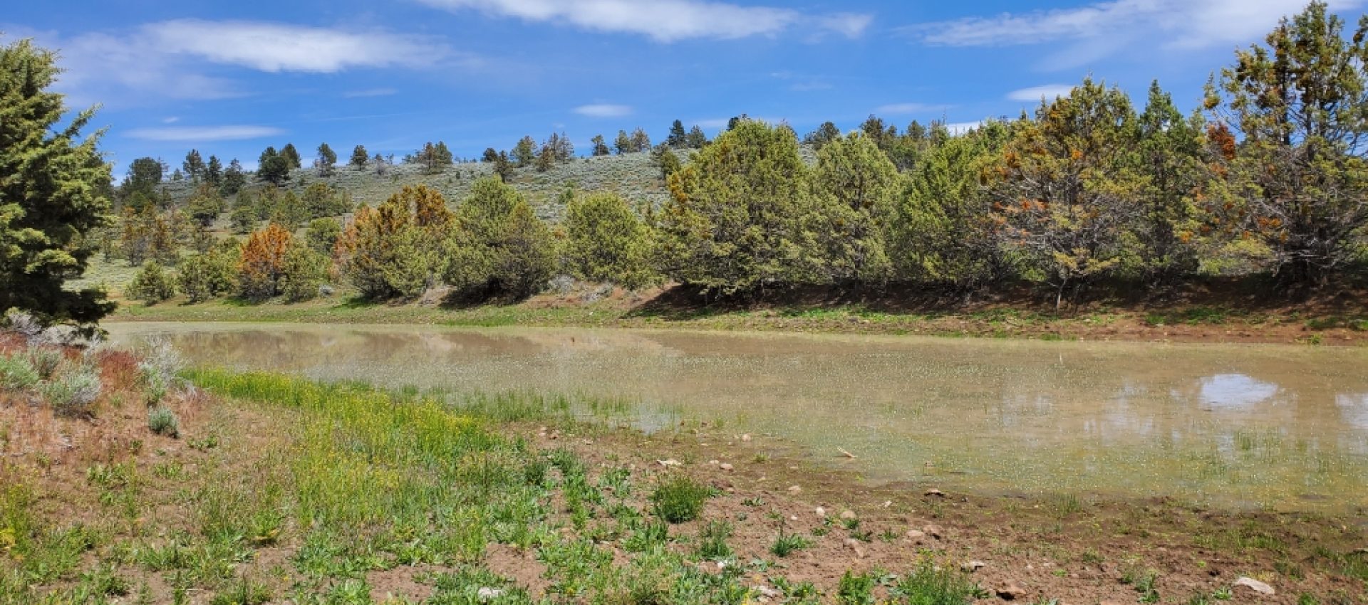 Cal-Ranch_Klamath-County-Oregon-2