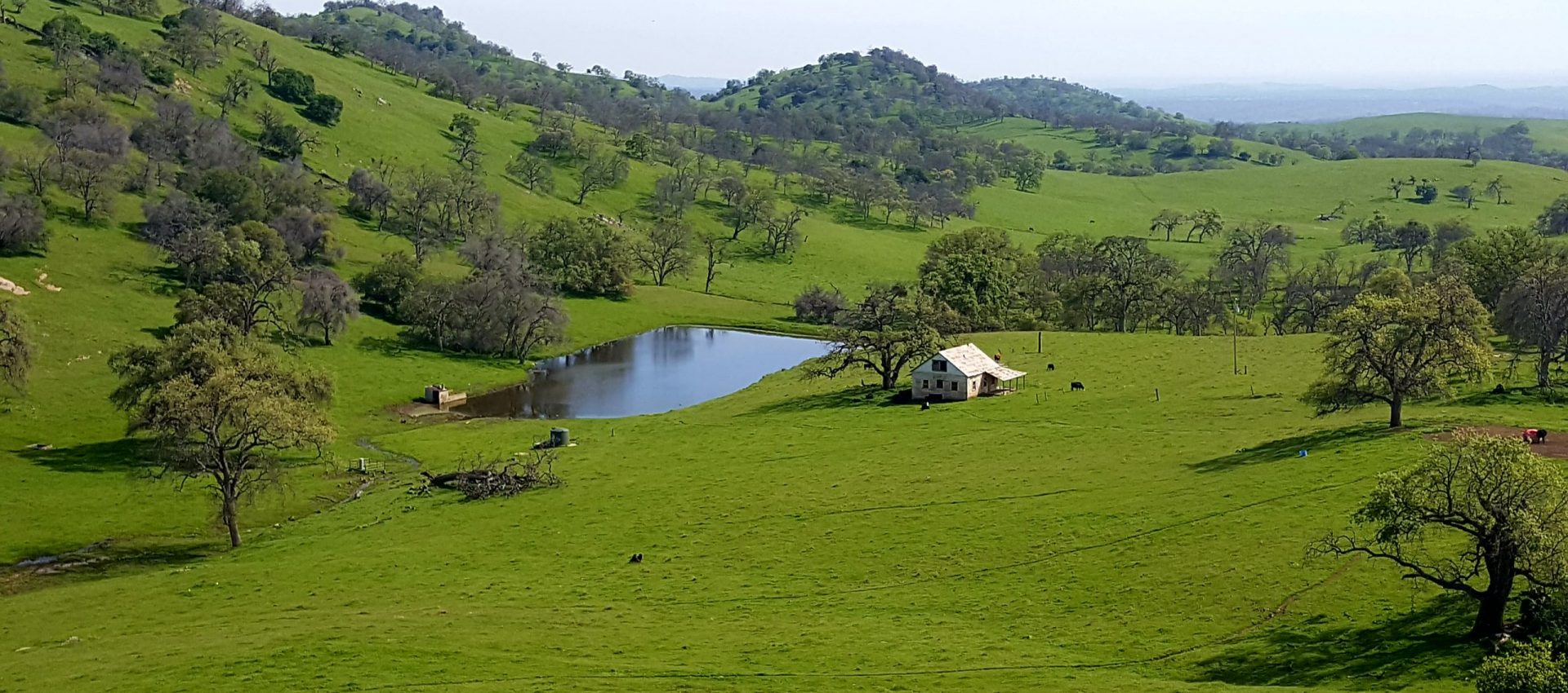 Silver Bar Ranch