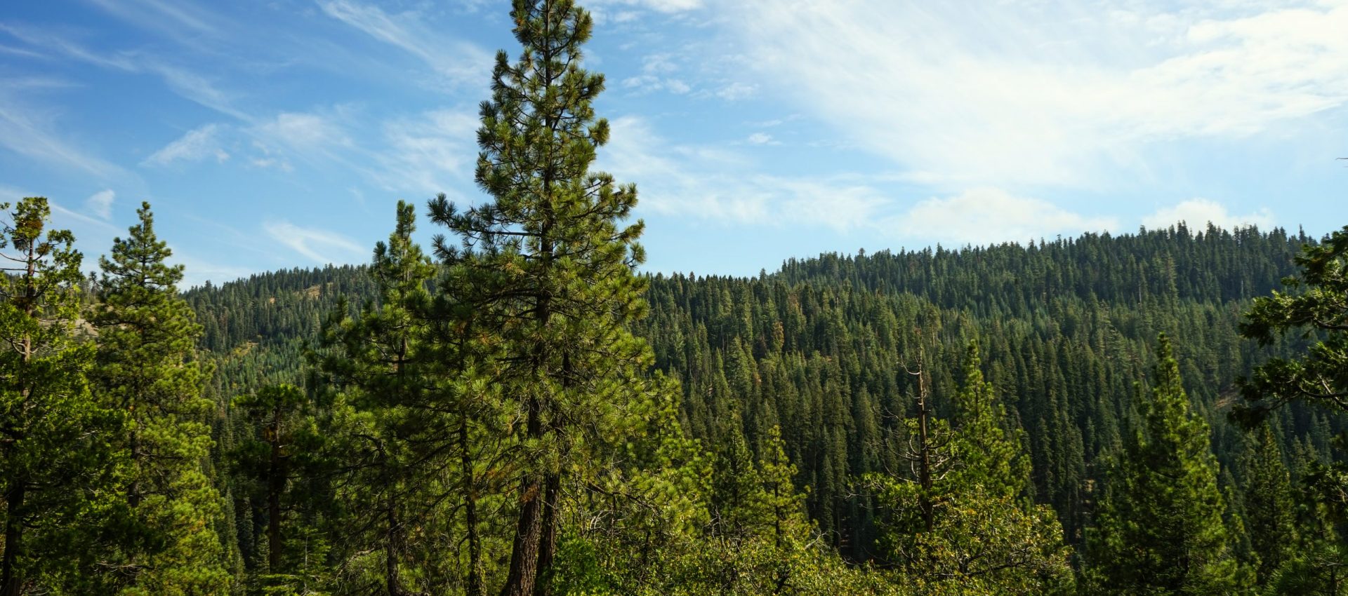 Tuolomne County Property Image (2)