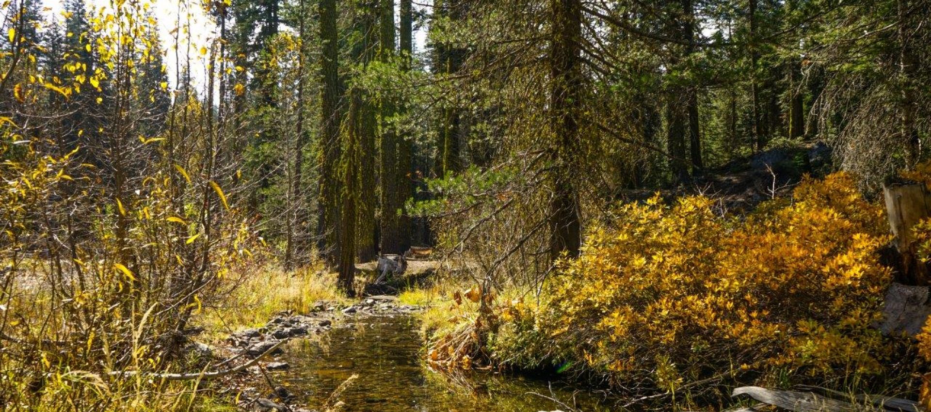 Tuolomne County Property Image (3)