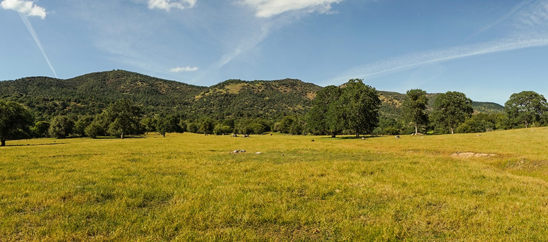 White Deer Ranch (14)