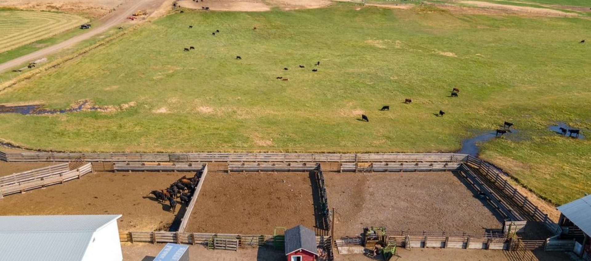 d4598bdef1bca5f16e87dfe9810184c2l-m1379829725xd-w1020_h770_q80